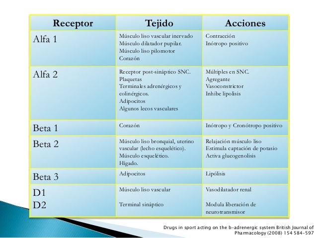 Receptores Adrenergicos - Farmacologia E Farmacocinética