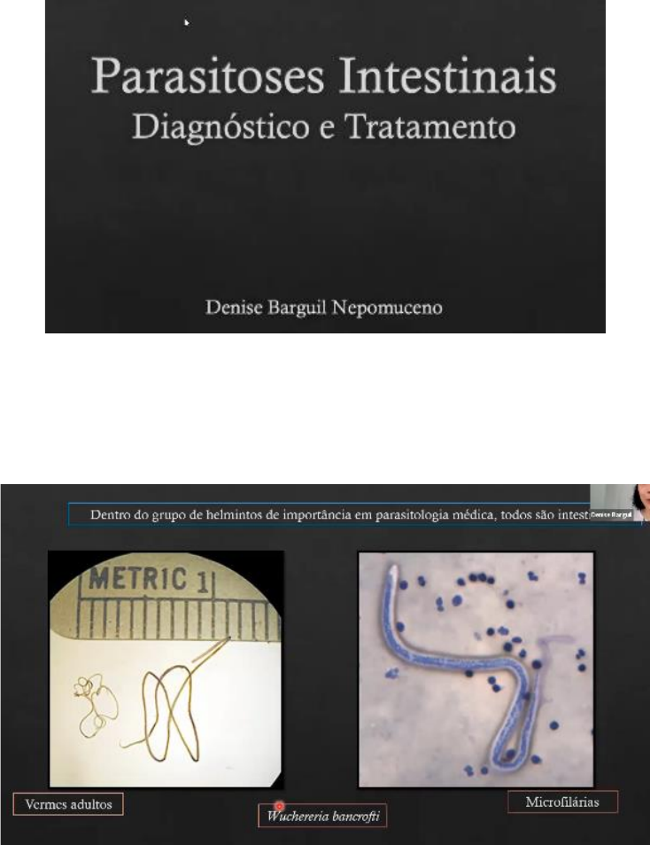 Parasitoses Intestinais Gastroenterologia