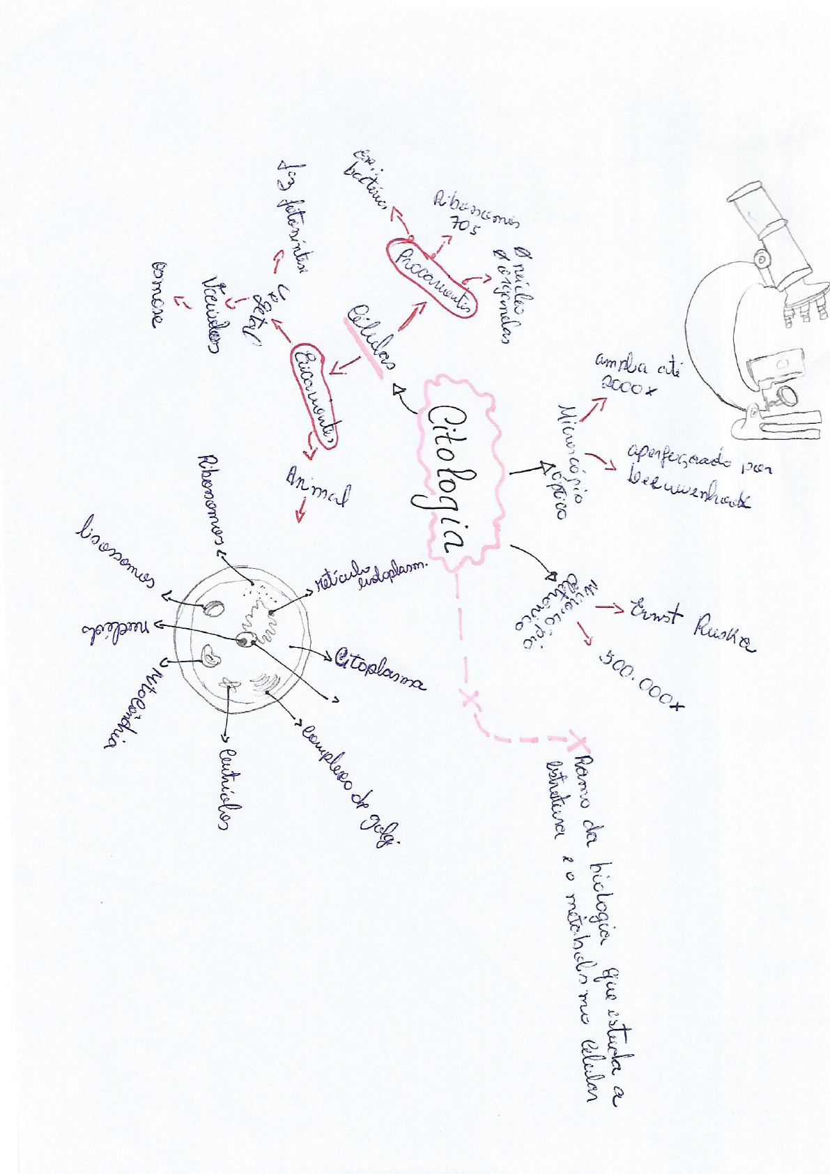 Mapa Mental Citologia - Citologia E Histologia