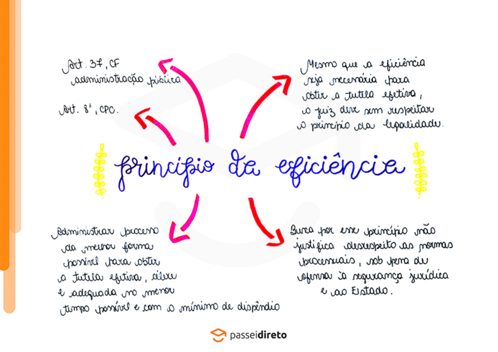 Princípio Da Eficiência Na Administração Pública Exemplo