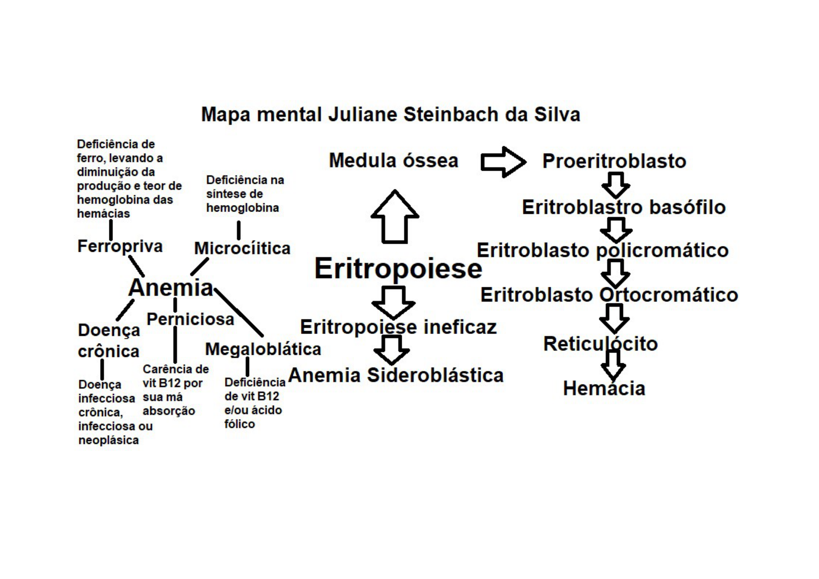 mapa mental1 - Hematologia