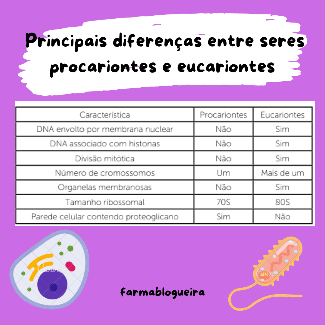 Principais diferenças entre seres procariontes e eucariontes ...