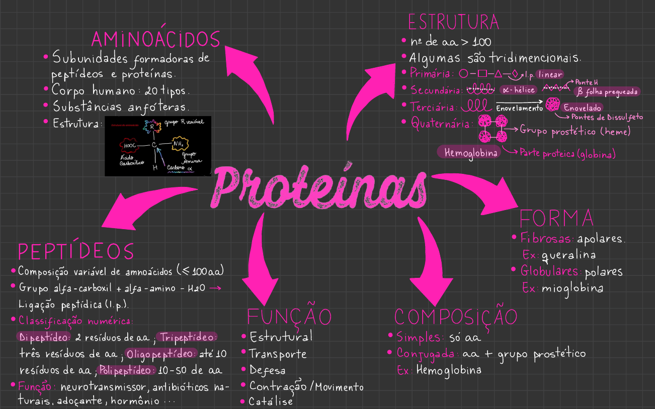 Mapa mental - Proteínas - Bioquímica I