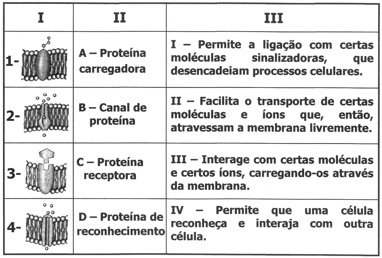 Proteinas Ciências Moleculares E Celulares 9828