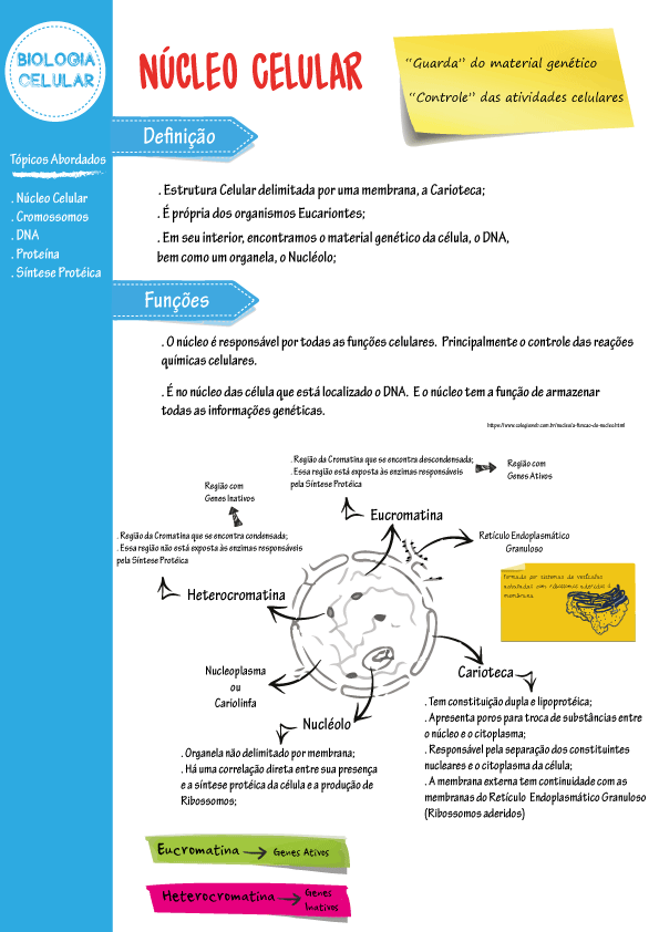 O Que é Ciências Integradas