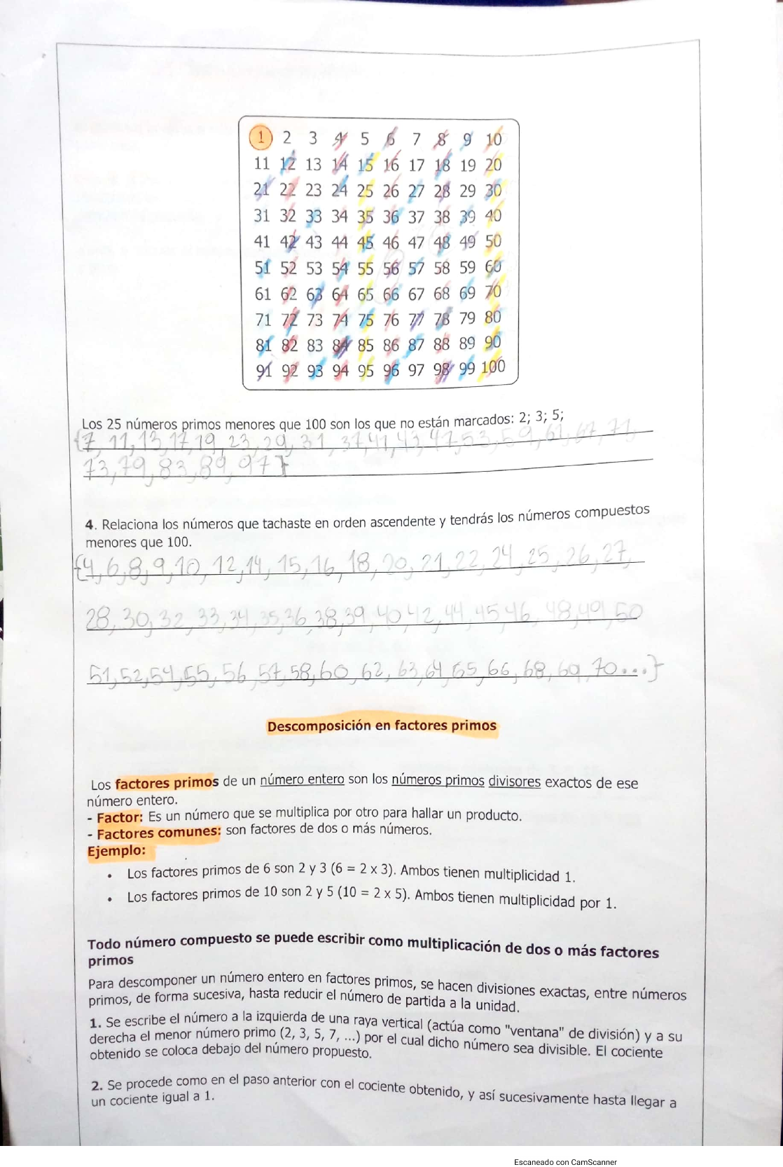 5C Matematica JosmerSerrano Guia 6 numero primos y compuestos 1 Contabilidade Básica