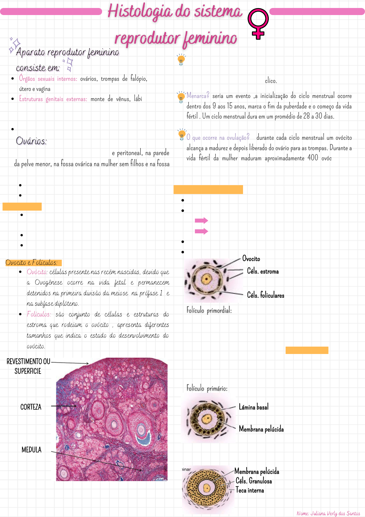 Embriologia Sistema Reprodutor Feminino Histologia E Embriologia