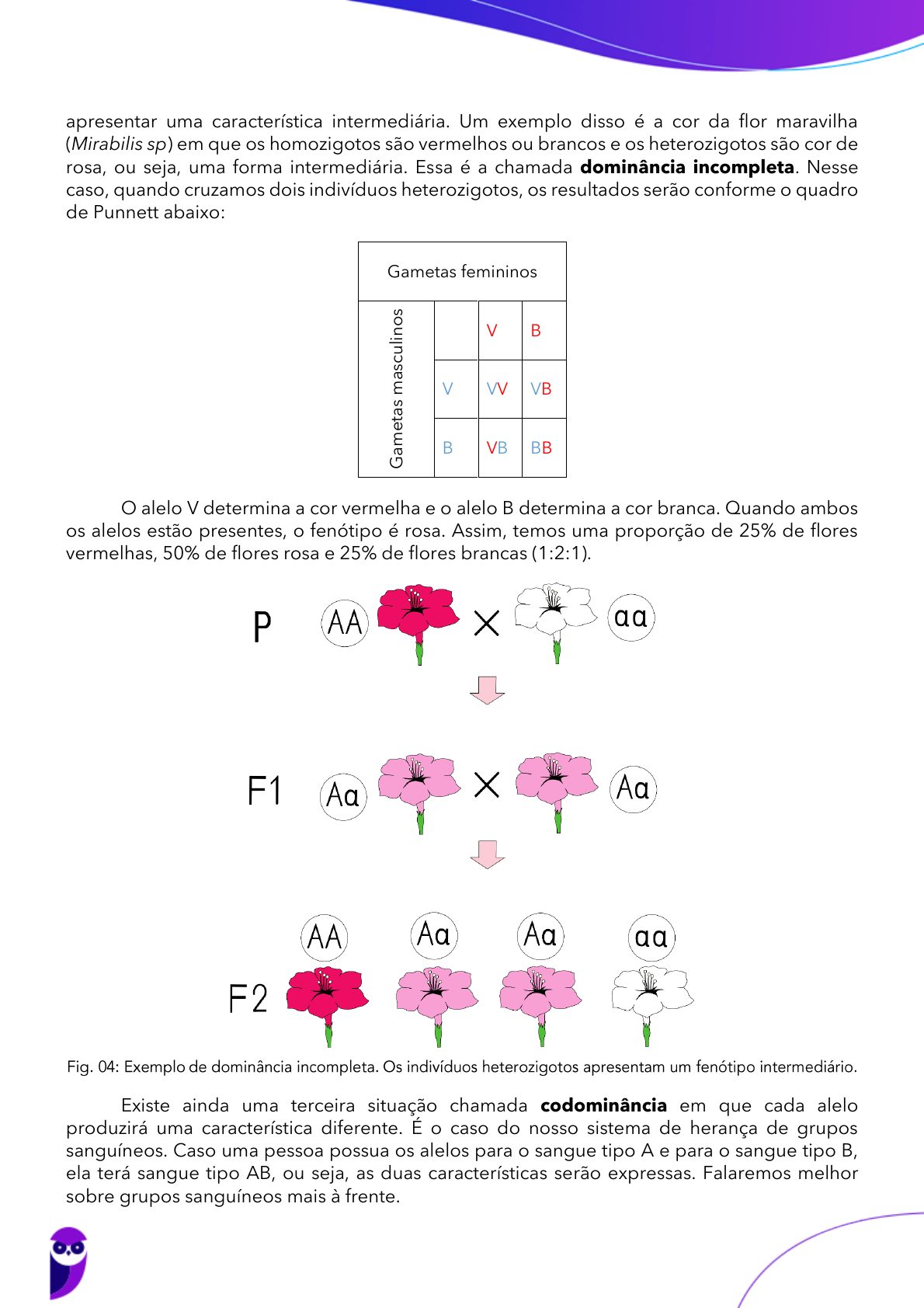 PPT - Álgebra y Genética Cursillo PowerPoint Presentation, free download -  ID:5080487, image size:1190x1684