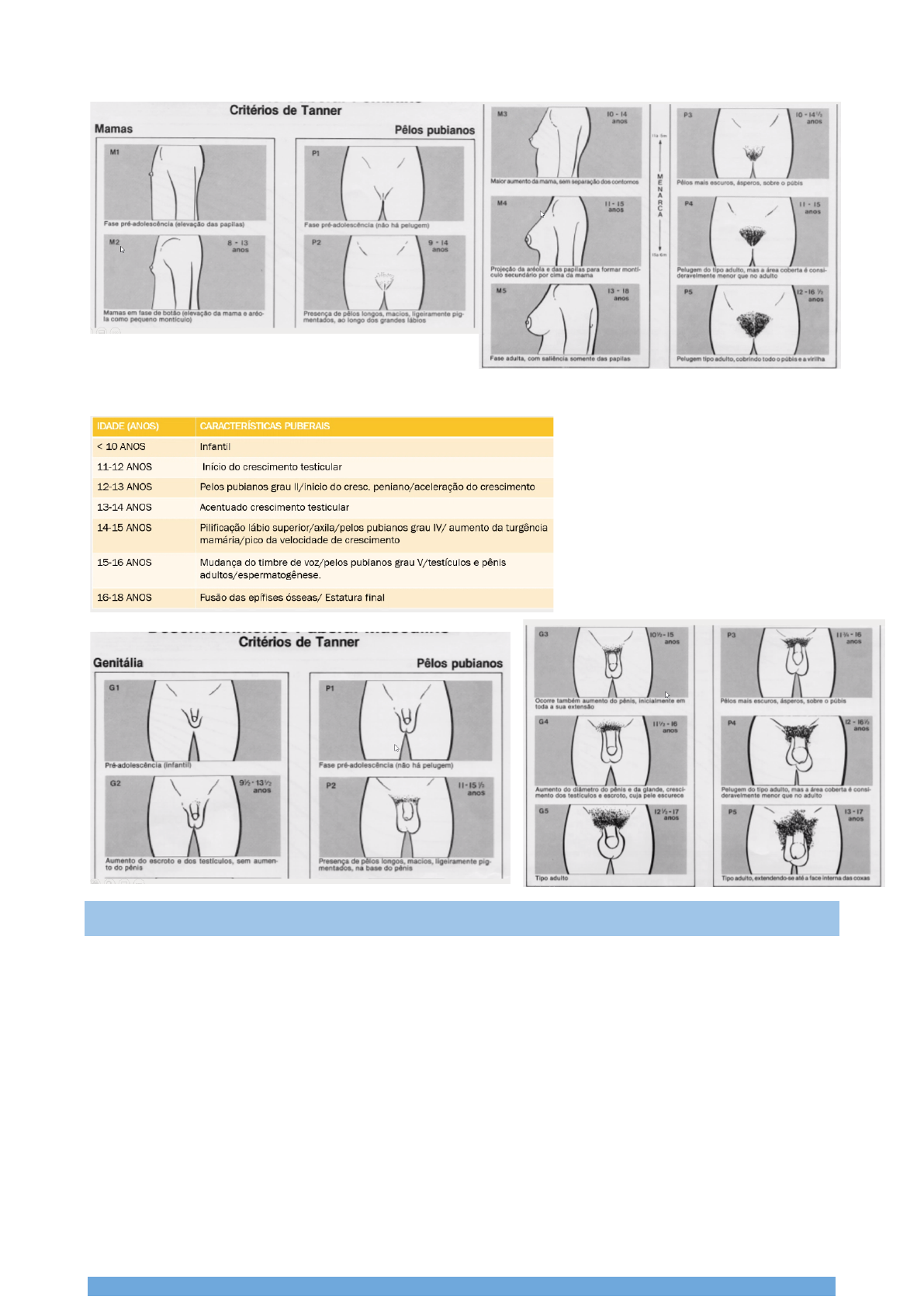 Grátis: Puberdade precoce e tardia - Material Claro e Objetivo em PDF para  Estudo Rápido, image size:1191x1684