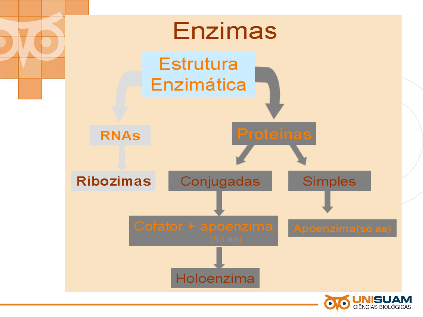 Não se esqueça de seguir 🫵, image size:1440x1080