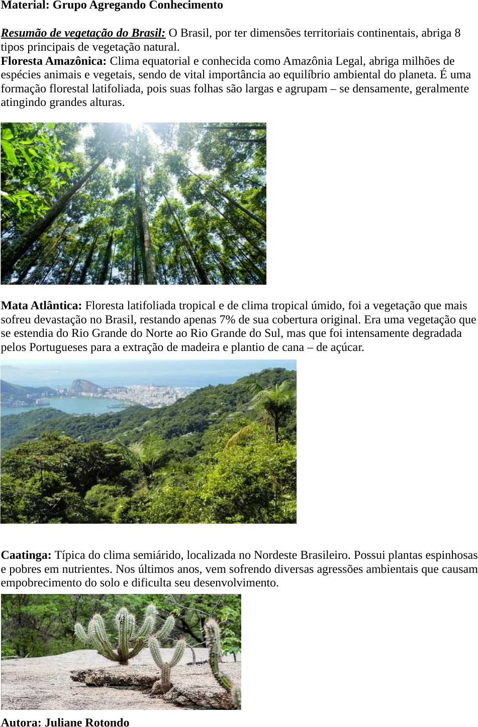 Clima e Vegetação Do Brasil, PDF, Floresta Amazônica