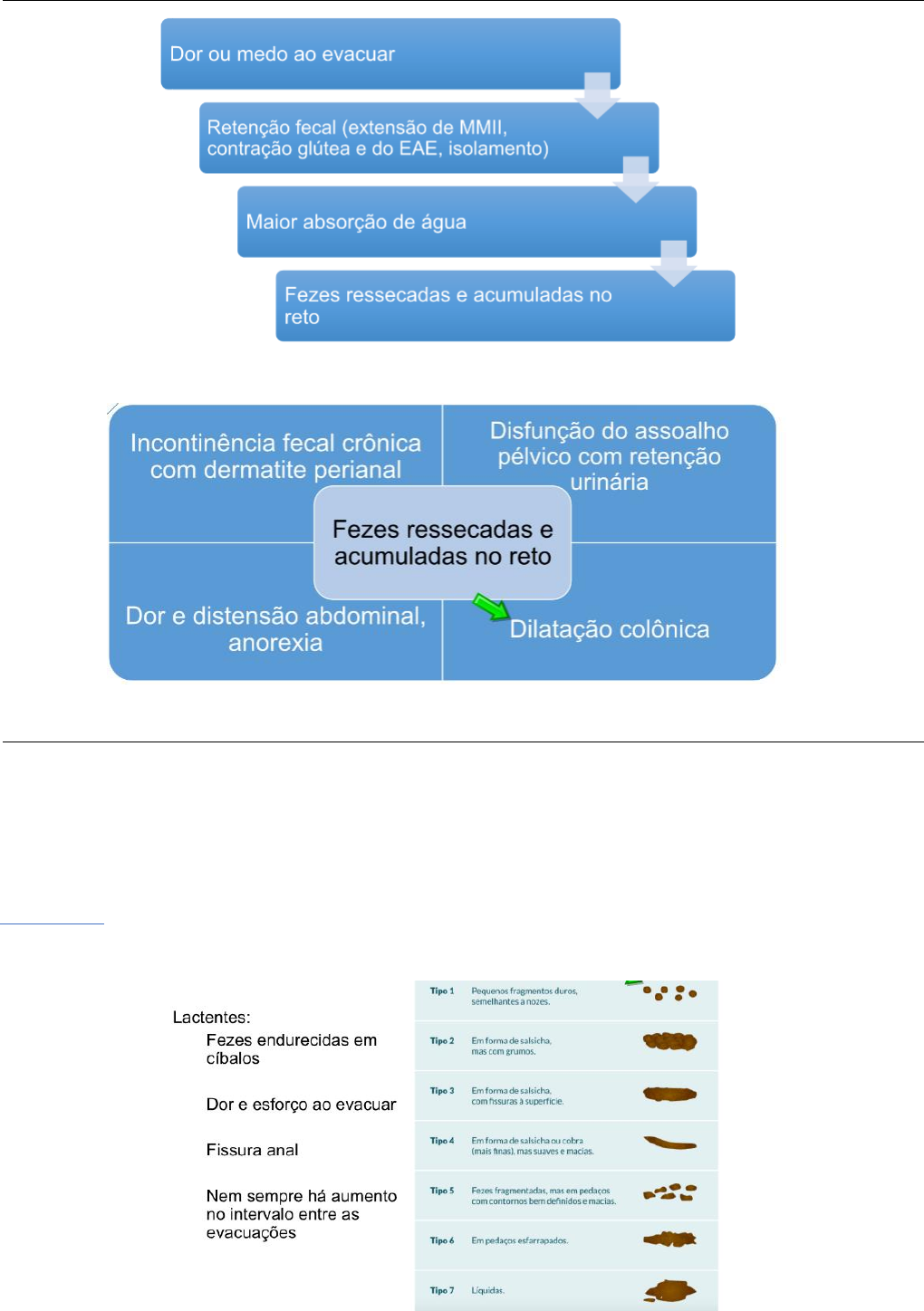 Grátis: Constipação Intestinal - Material Claro e Objetivo em PDF para  Estudo Rápido, image size:1020x1448