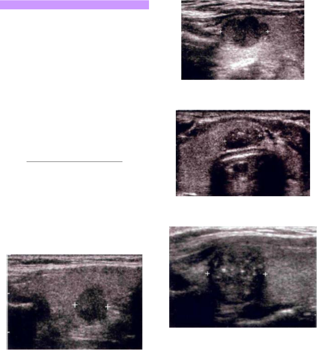 Grátis: N2 Cabeca e PESC - Material Claro e Objetivo em PDF para Estudo  Rápido, image size:1051x1201