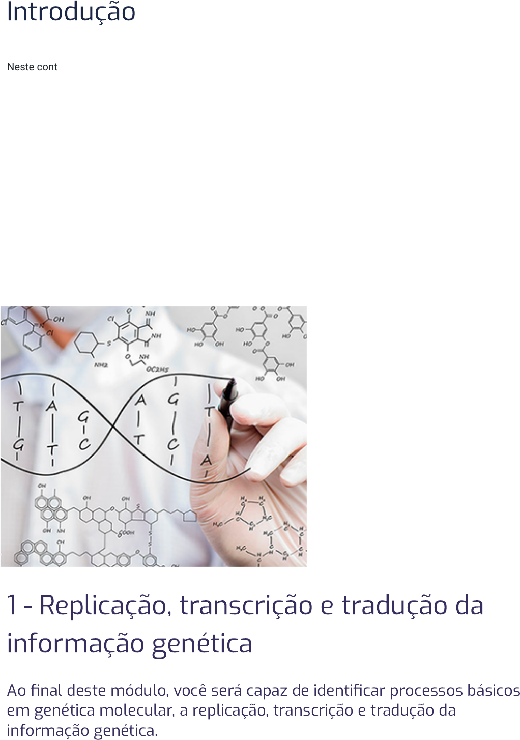 Tradução, tradução localizada e transcrição: entenda as diferenças