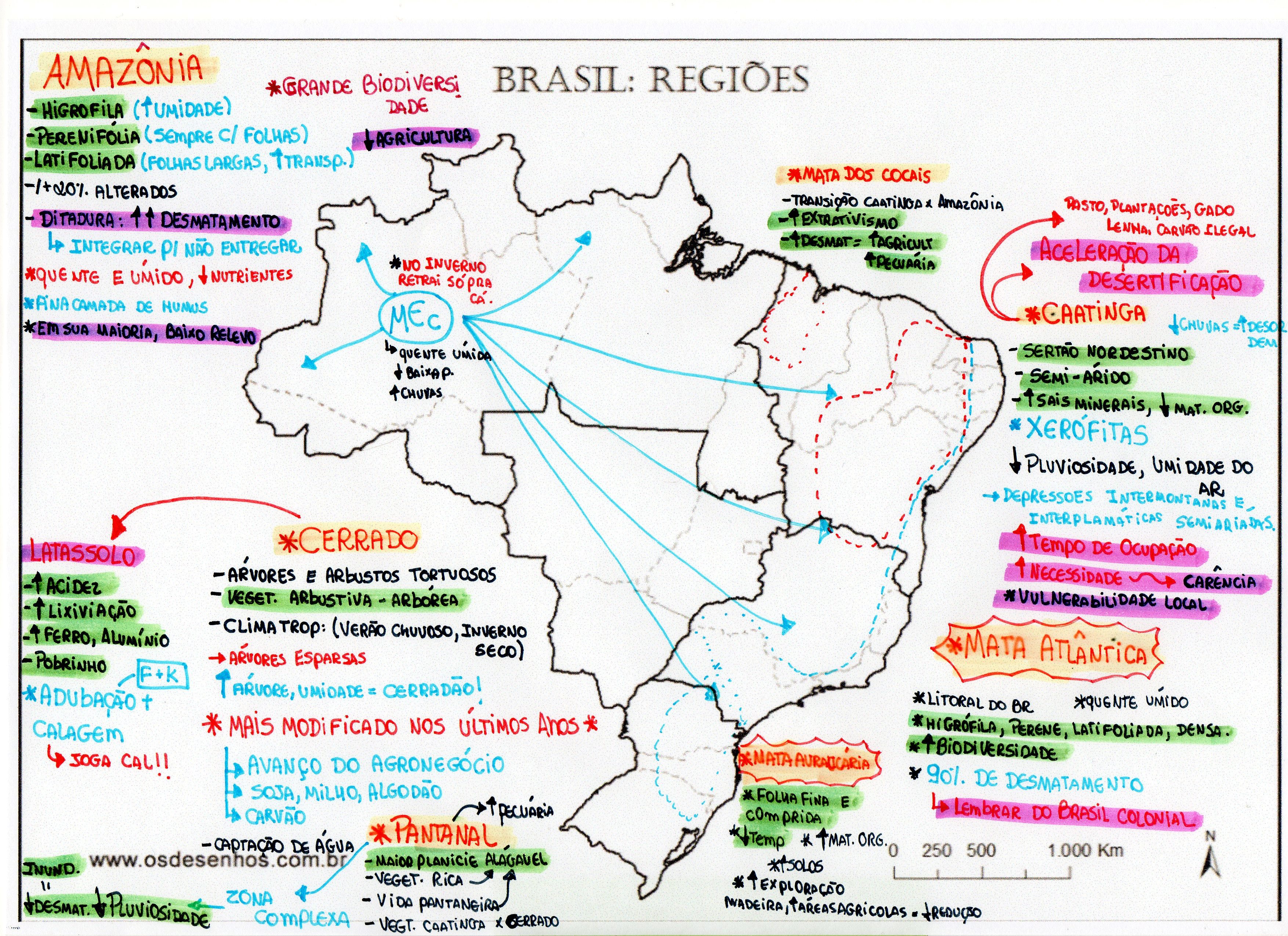 Mapa Mental Regiões Do Brasil Edukita 5696