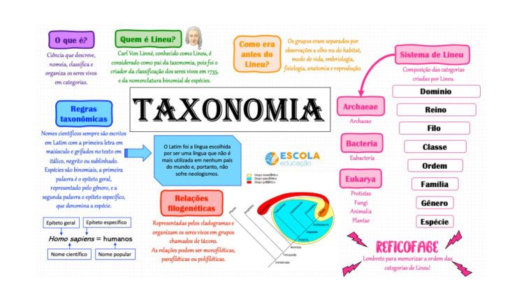 Mapa mental sobre taxonomia - Baixe grátis em PDF! - Biologia