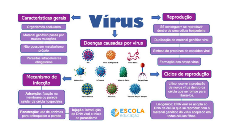 capa-mapa-mental-virus-750x430 - Biologia do Virus