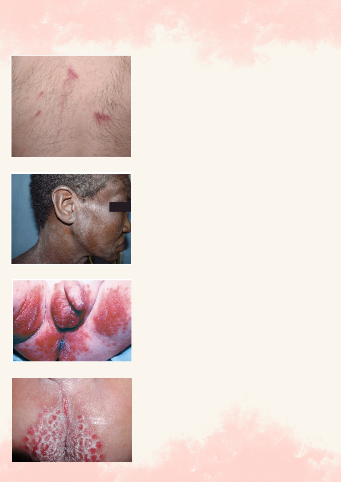 Fraldas Premium, image size:1191x1684