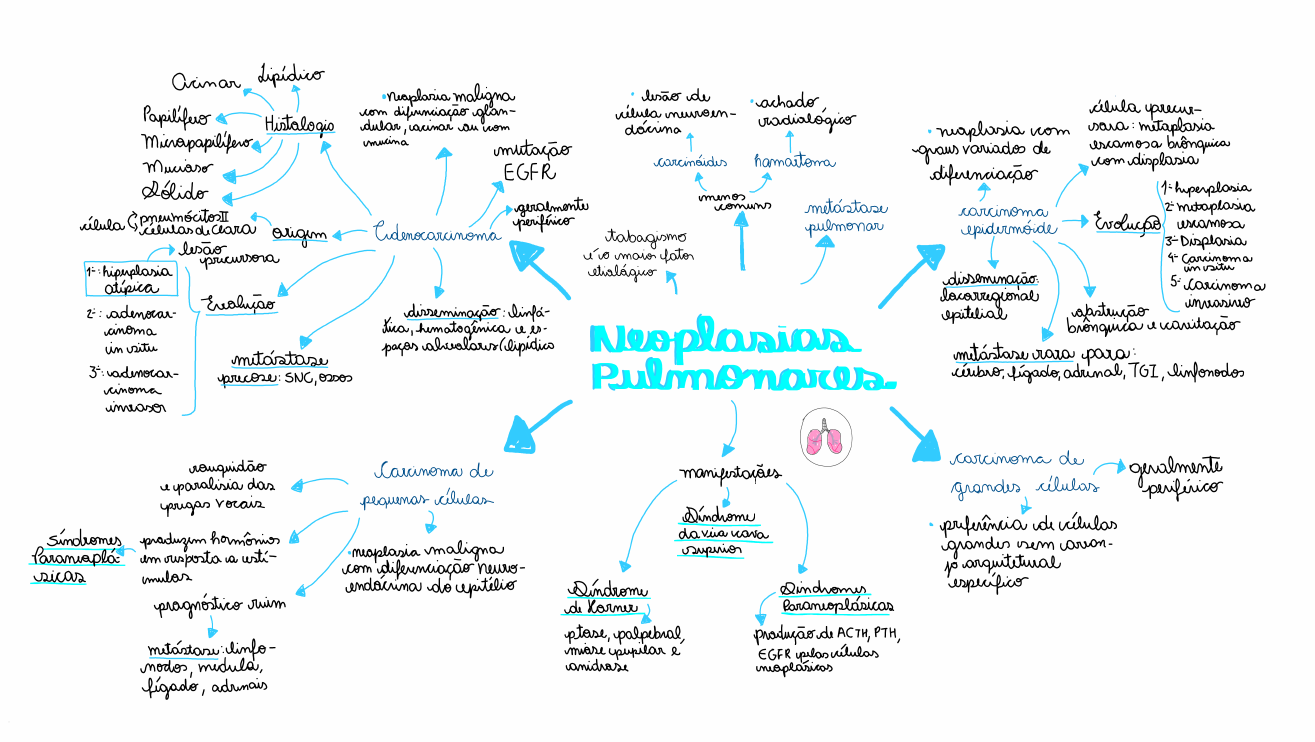 Barraza Gomez Alejandro Fisiologia Mapa Mental Mapa C Vrogue Co