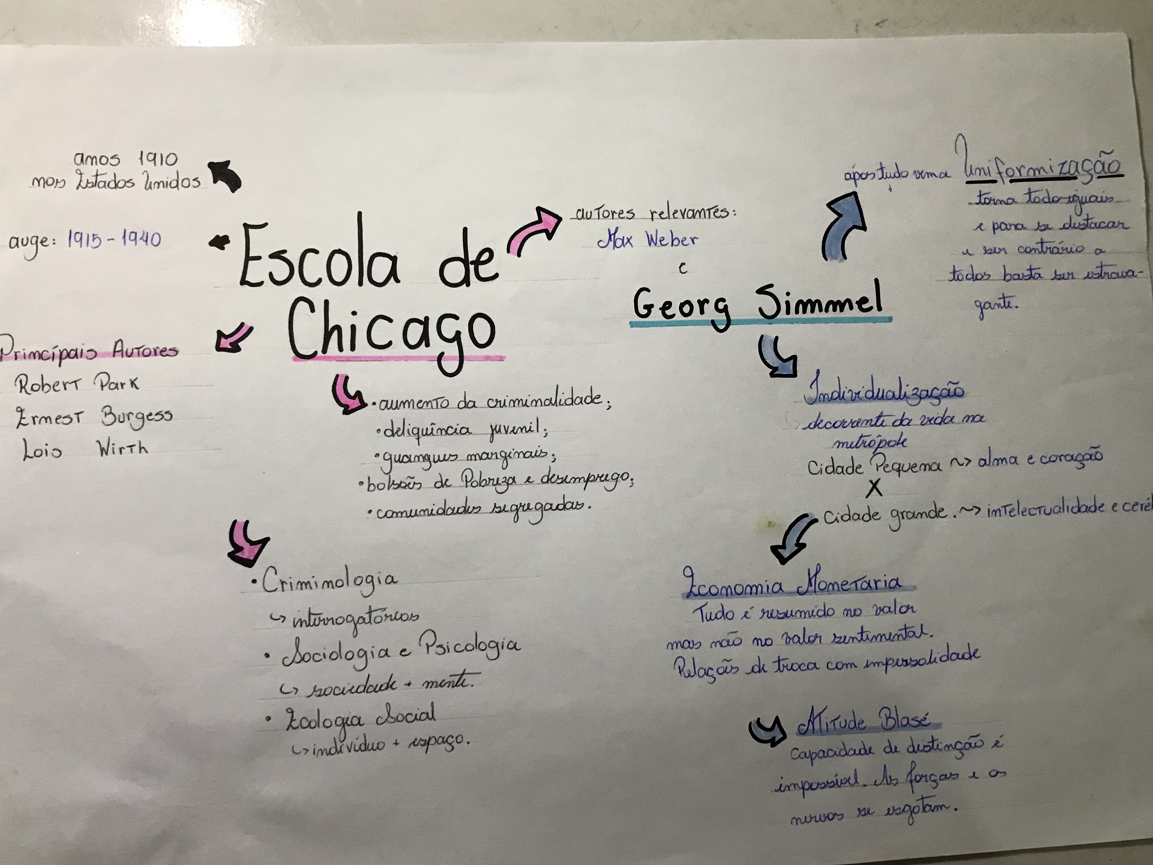 Chicago - estudos socio economicos da cidade