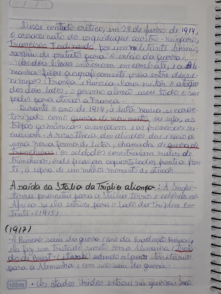 RESUMO PRIMEIRA GUERRA MUNDIAL - Bg2 