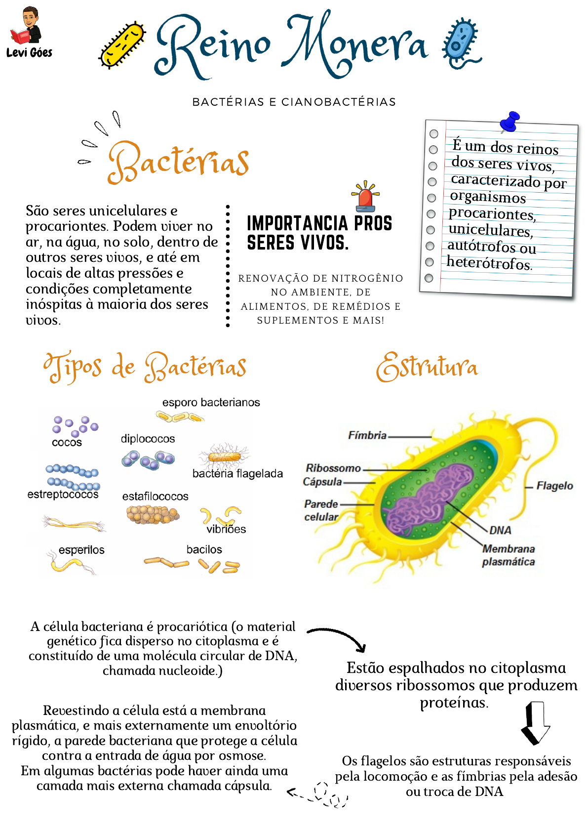Grátis: Reino Monera - Material Claro e Objetivo em PDF para Estudo Rápido