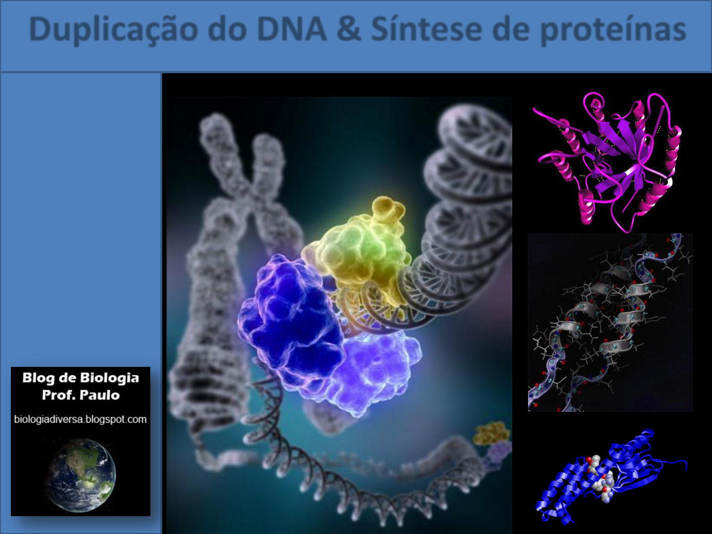 PPT - Estrutura do DNA Transcrição e Tradução PowerPoint Presentation -  ID:4104310