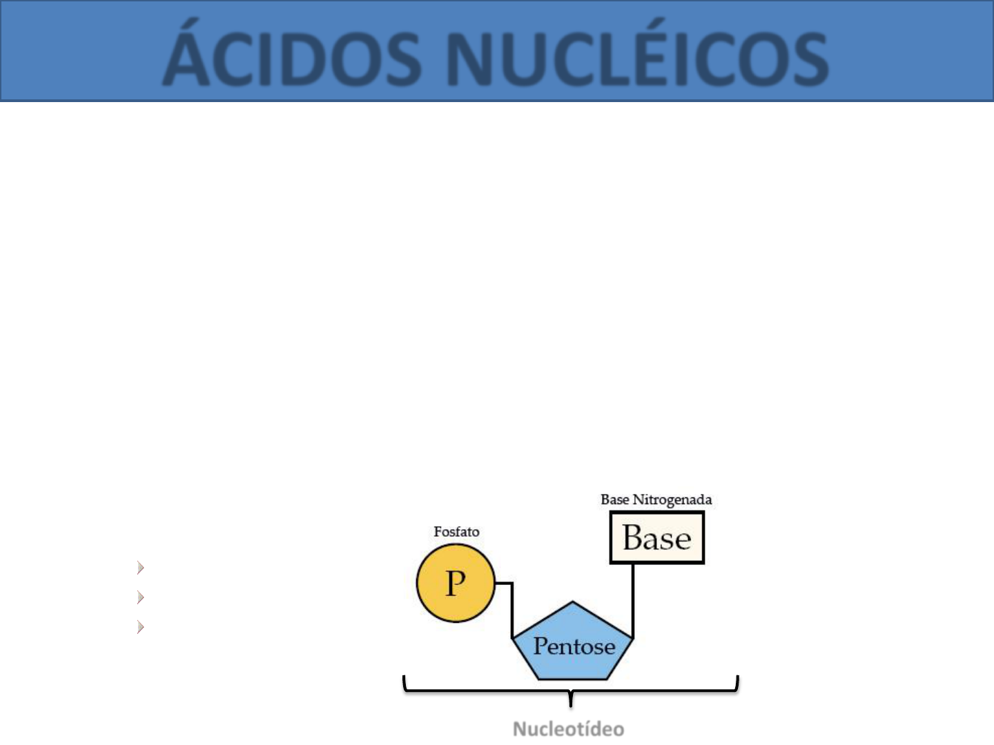 PPT - Estrutura do DNA Transcrição e Tradução PowerPoint Presentation -  ID:4104310