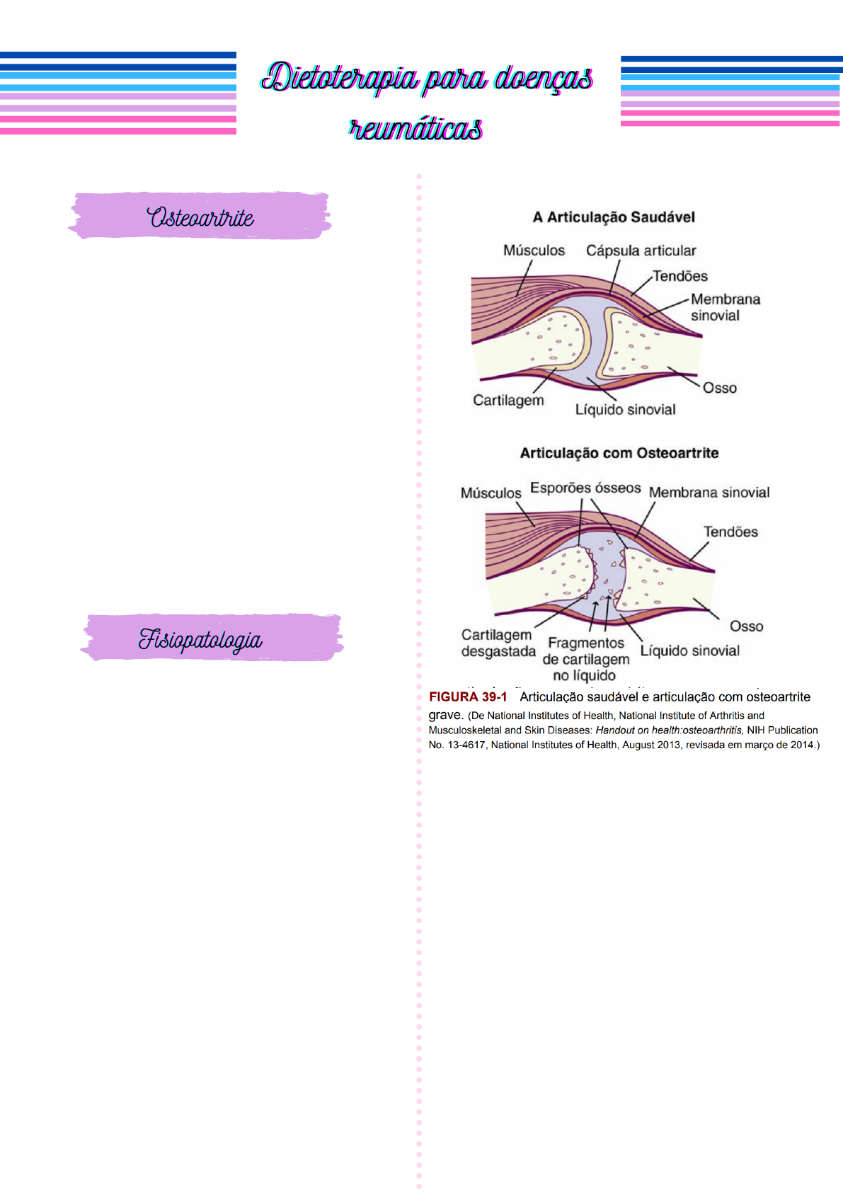 Fisioinforma: Artrose da anca, image size:1191x1684