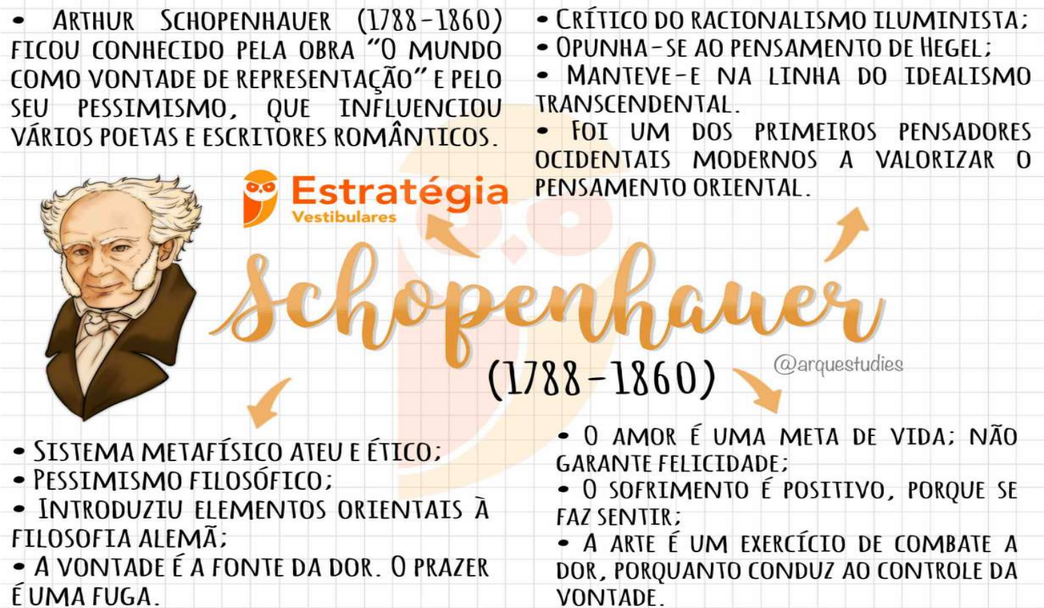 35. SCHOPENHAUER (MAPA MENTAL) - Filosofia