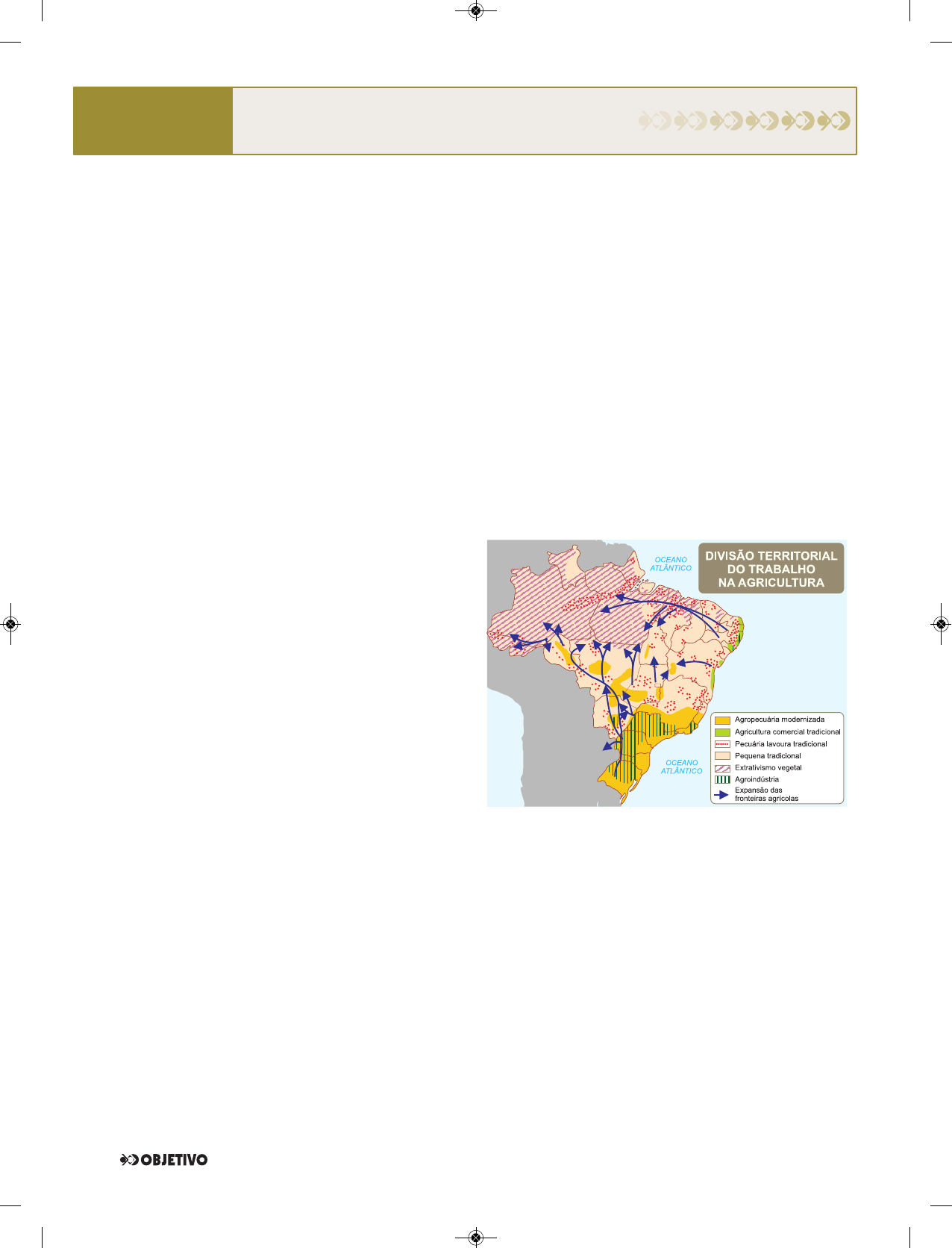 Árvore, Ser Tecnológico - Toda costa leste, sudeste e sul do Brasil de  frente para o Atlântico, do Rio Grande do Norte até o Rio Grande do Sul, é  casa da segunda