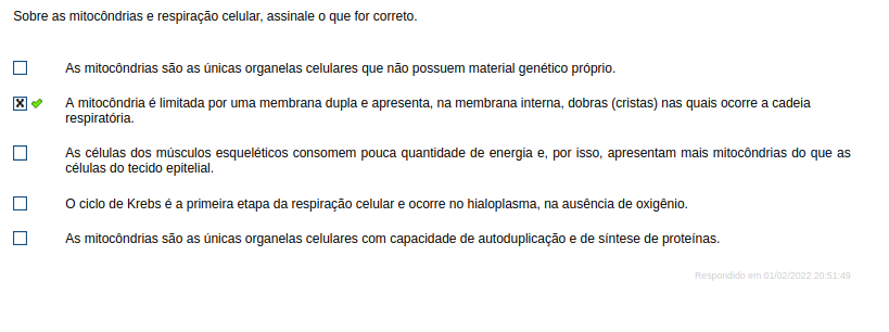 Captura de Tela 2022-04-02 À(s) 15.09.35