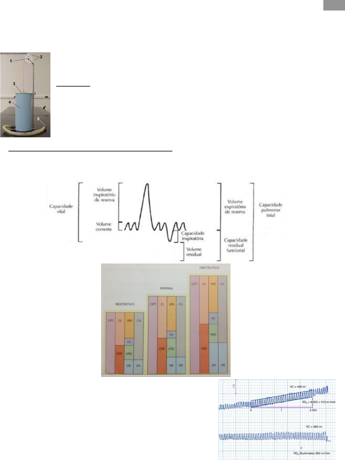 gráfico de capacidade vital