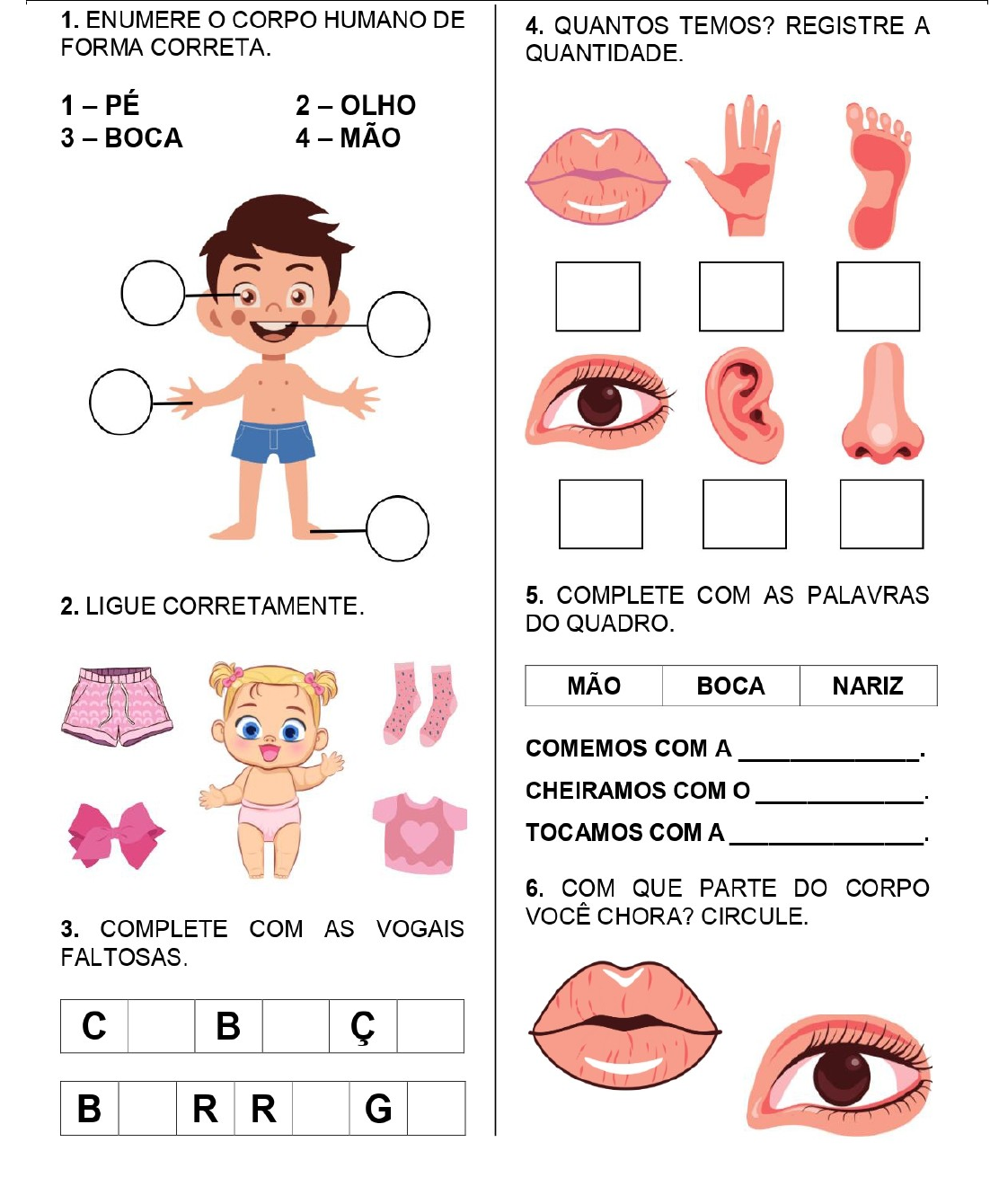Grátis: Corpo humano exercício - Questões Resolvidas com Gabarito em PDF, image size:1102x1340