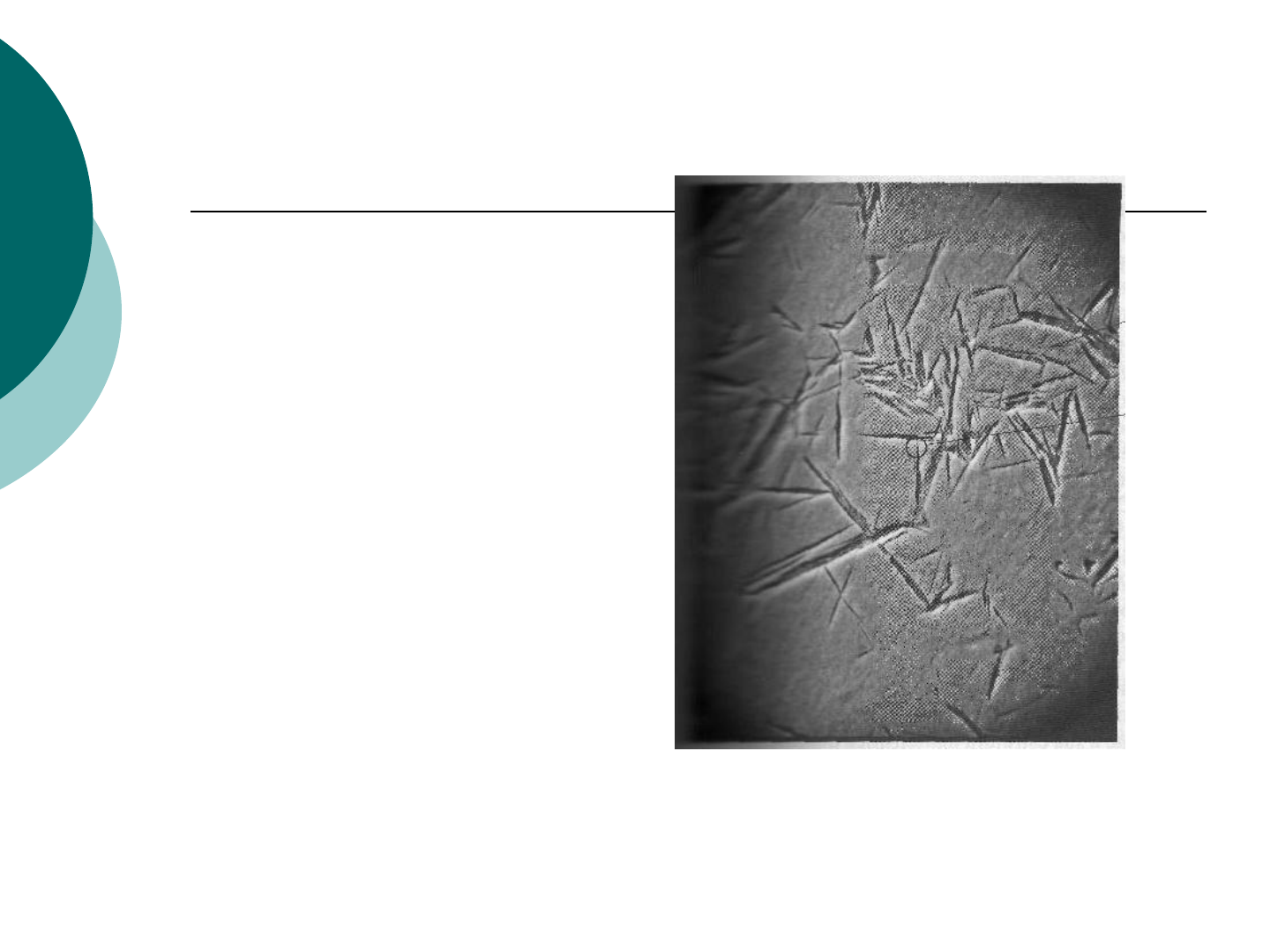 Grátis: metalografia transf. de fases - Material Claro e Objetivo em PDF  para Estudo Rápido, image size:1440x1080