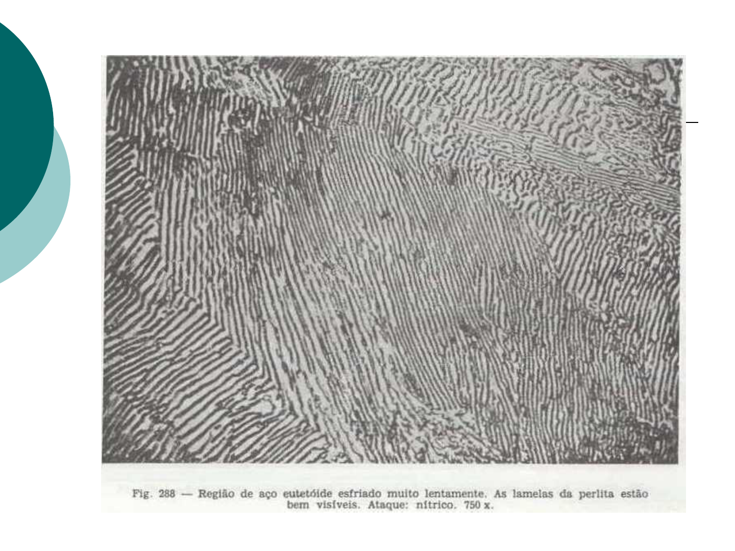 PPT - Equilíbrio Termodinâmico: Estado e Fase PowerPoint Presentation -  ID:4271504, image size:1440x1080