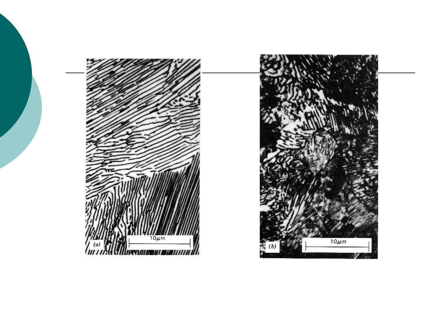 8 diagrama de fases aula | PDF, image size:1440x1080
