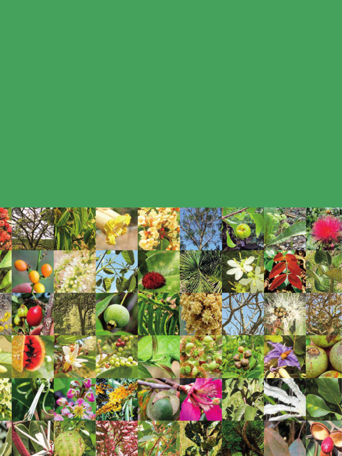 Glossário de jardinagem frutos