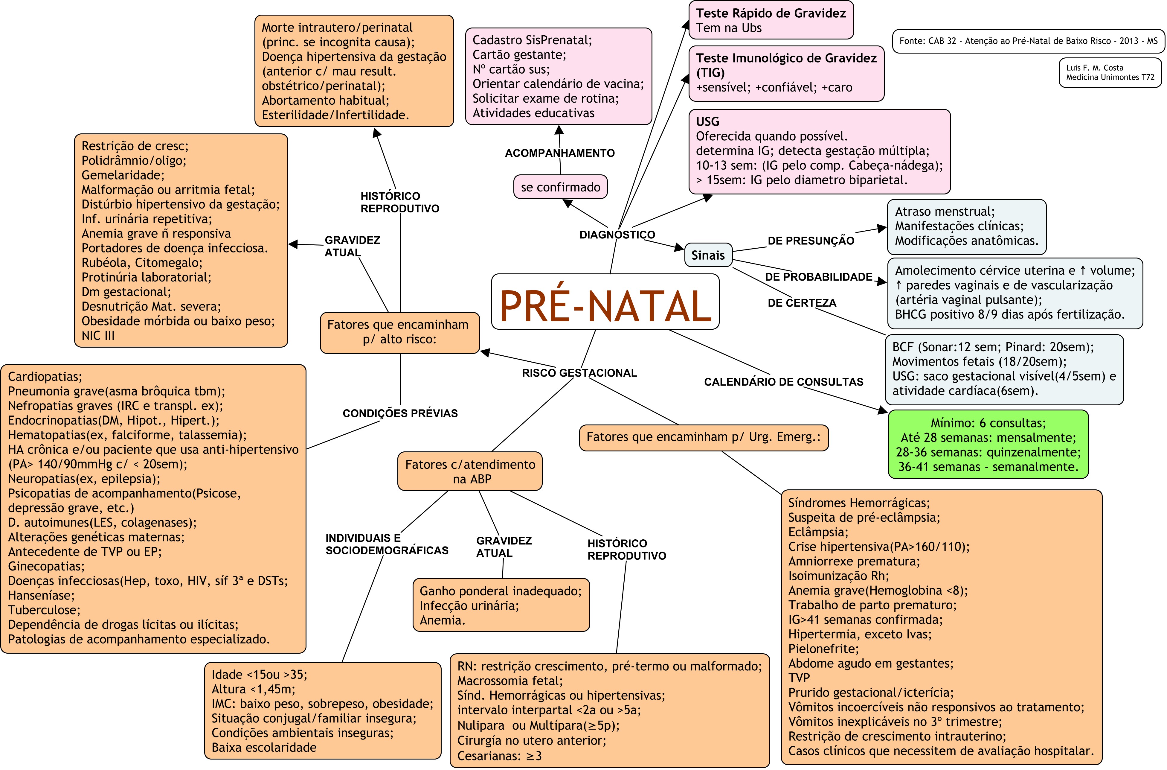 sinais de certeza : gravidez - Mapa Mental