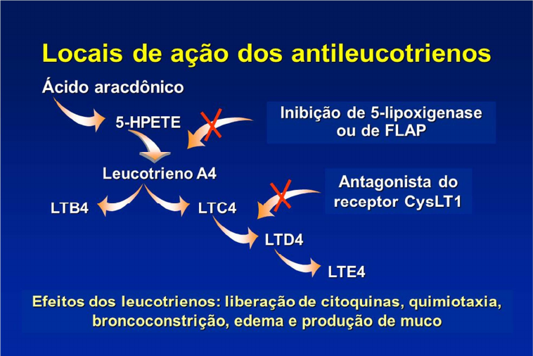 Antileucotrienos - Farmacologia I