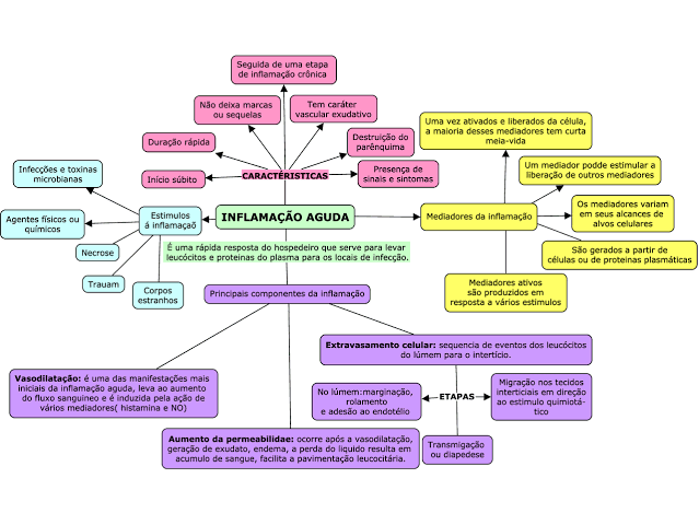 Mapa Mental - Patologia I