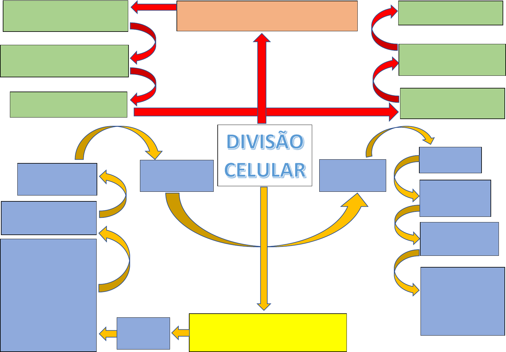 MAPA MENTAL DIVISÃO CELULAR - Biologia Celular