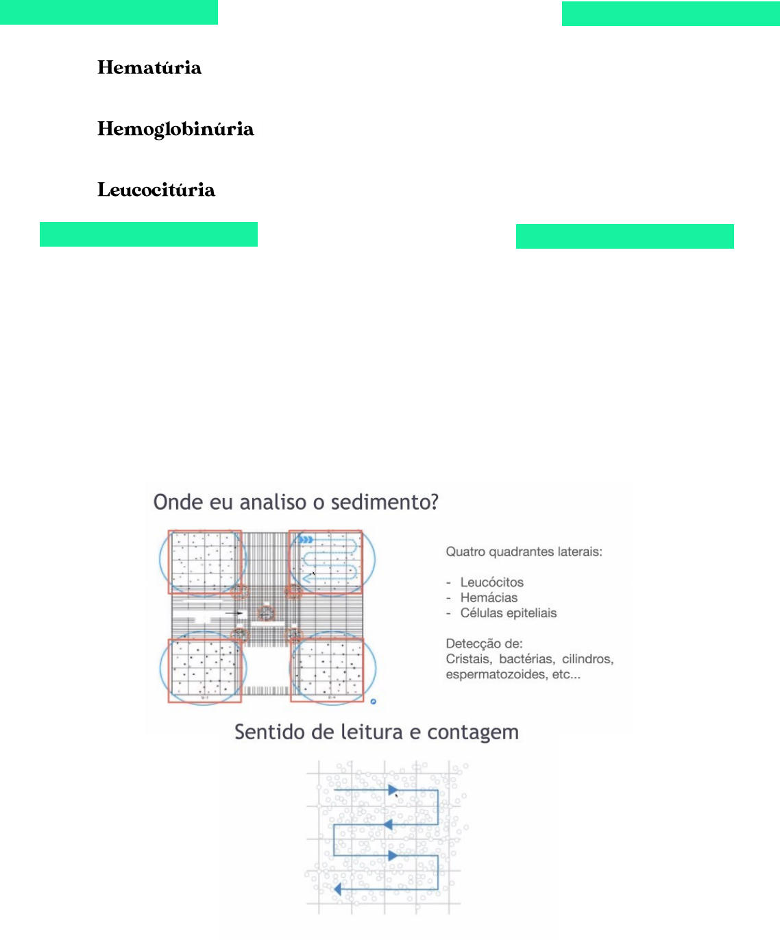 Grátis: Resumo Análise de sedimento, Sedimentoscopia - Material Claro e  Objetivo em PDF para Estudo Rápido
