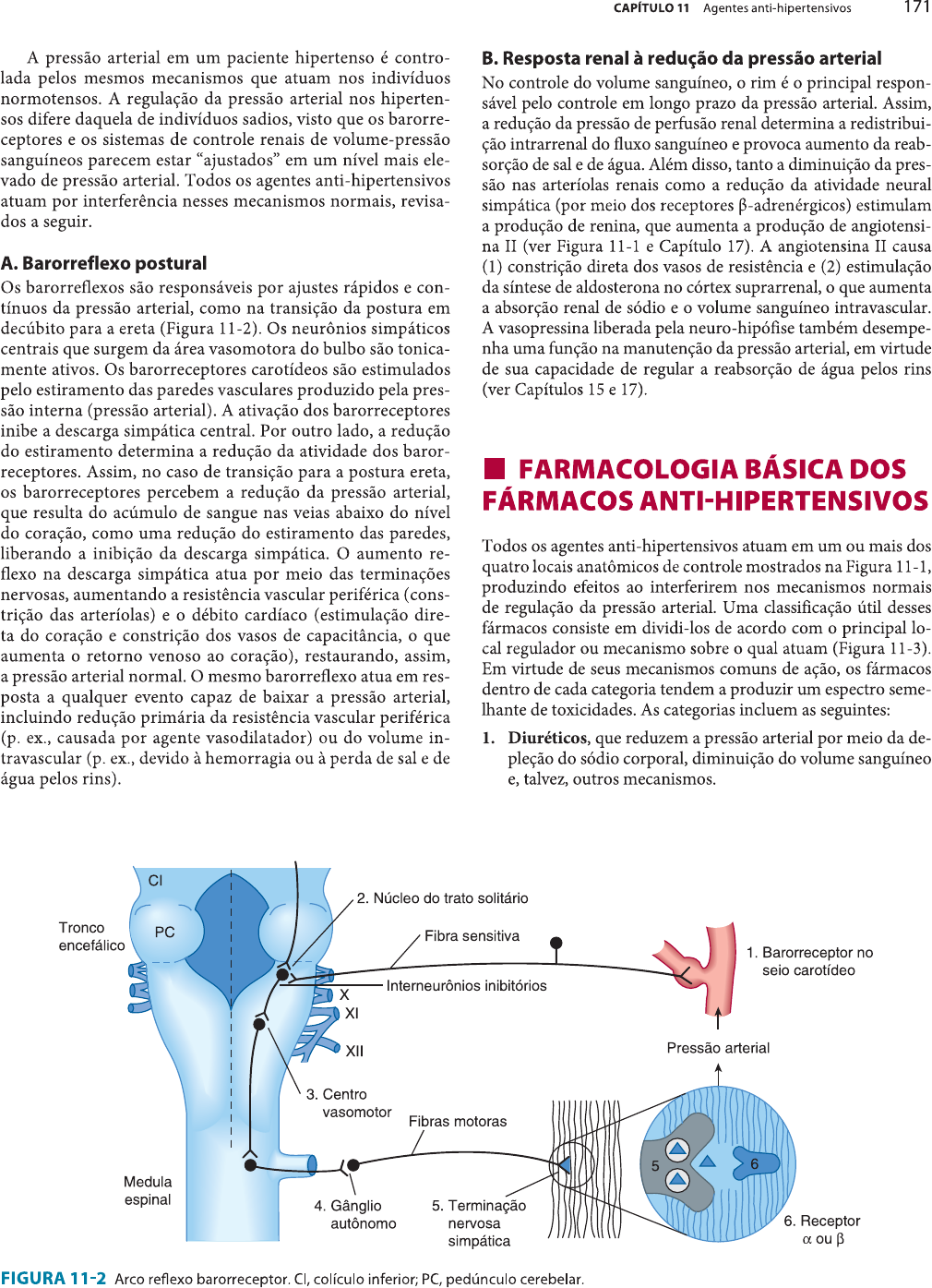 CAPITULO ANTI-HIPERTENSIVOS - FARMACOLOGIA - Farmacologia I