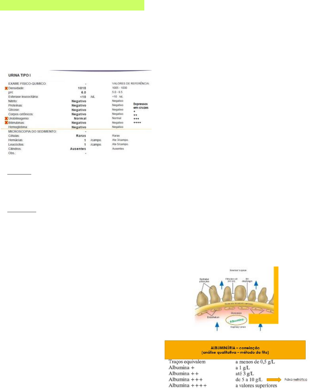 Grátis: Exames Laboratoriais de Urina - Material Claro e Objetivo em PDF  para Estudo Rápido