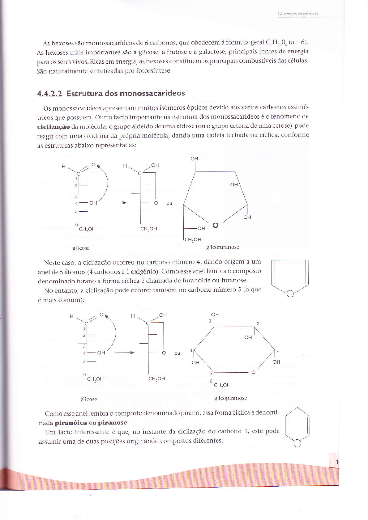 Importância dos Carboidratos - Bioquímica I