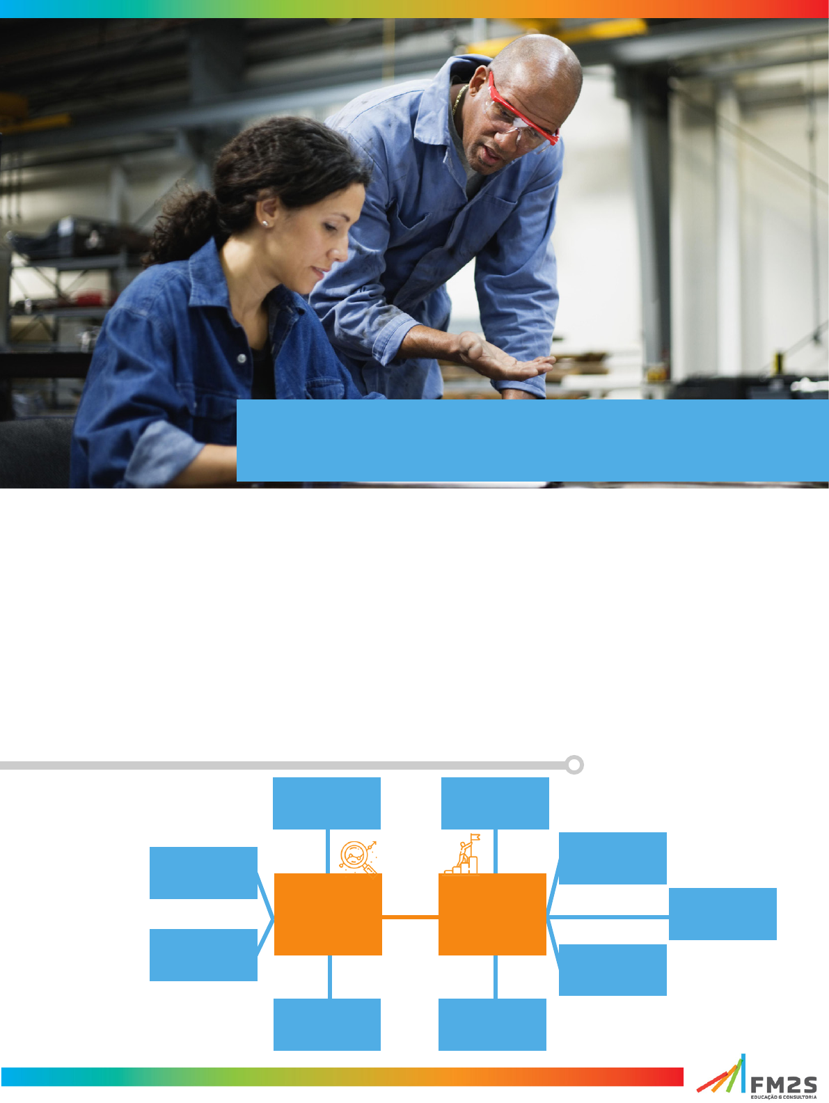 FM2S) Apostila - Fundamentos Da Excelência Operacional, PDF, Seis Sigma