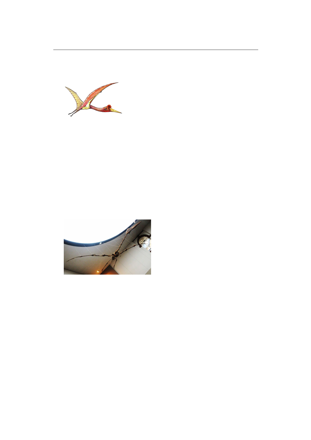 Grátis: Quetzalcoatlus o maior animal voador já descoberto - Material Claro  e Objetivo em PDF para Estudo Rápido, image size:1190x1684