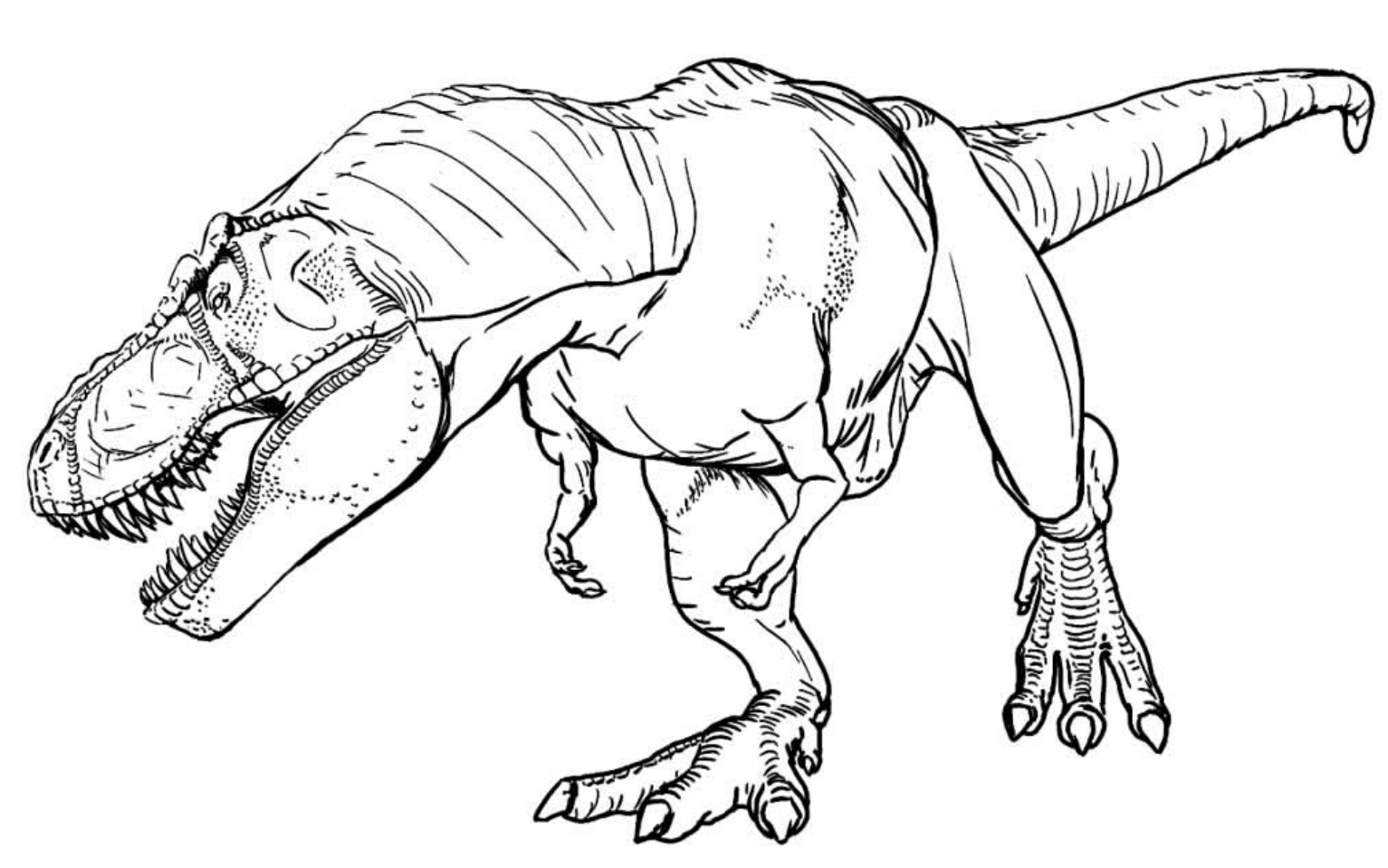 Como desenhar um Tiranossauro Rex (versão infatil) 