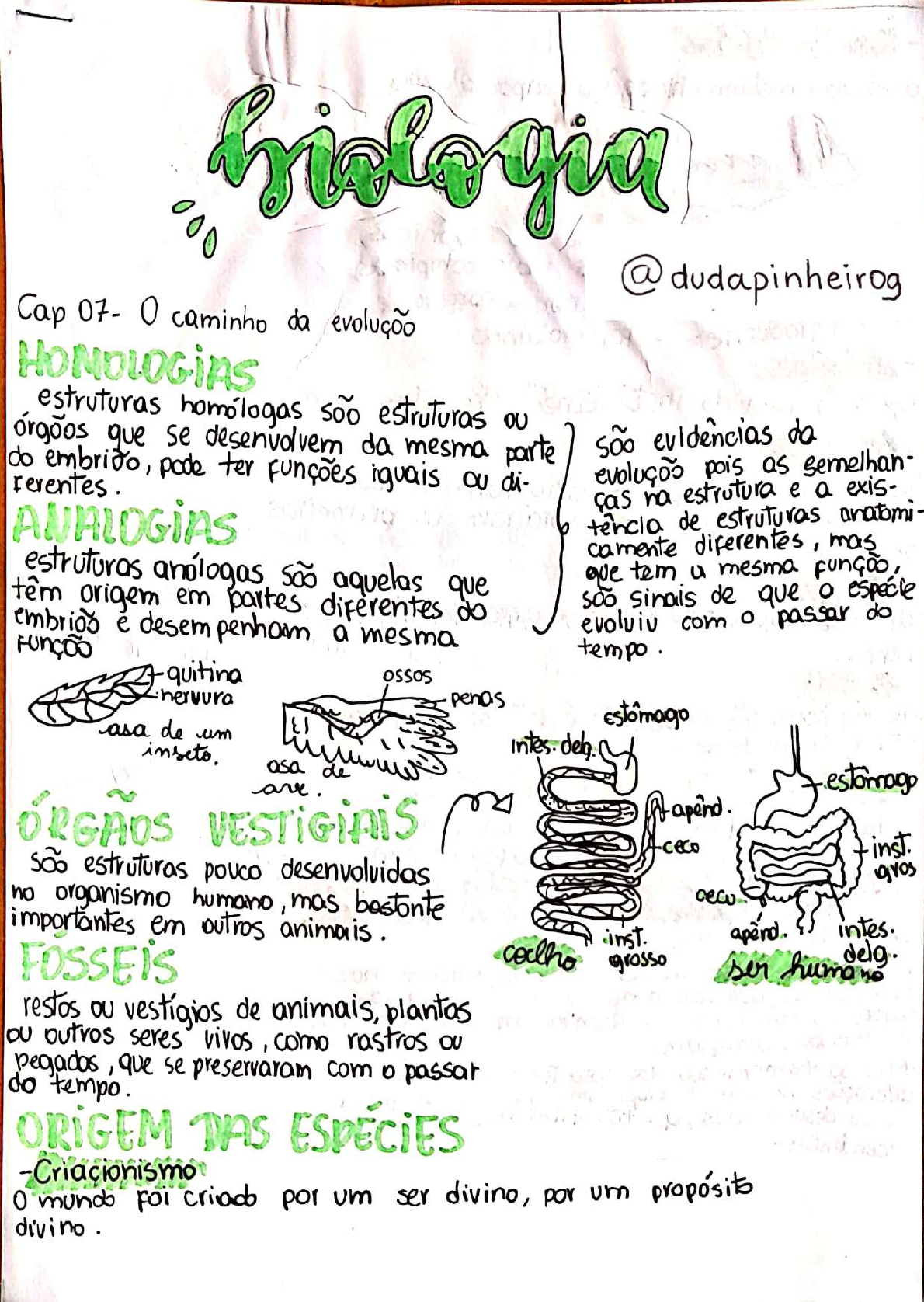 Introdução à Evolução - Biologia